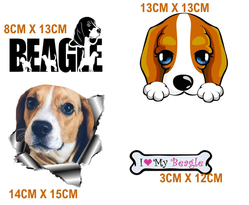 Beagle Dog  Iron On Transfers
