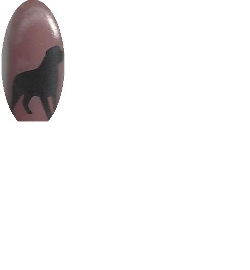 Dog Nail Stickers