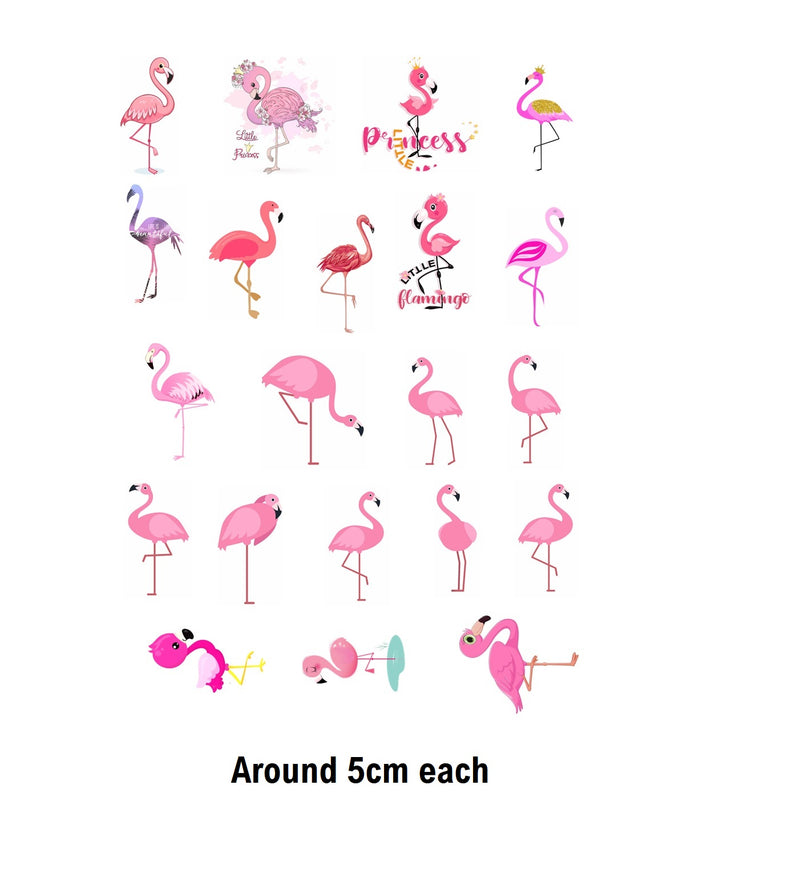 Flamingo c2 Iron On Transfers