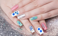Forget me Not Flower