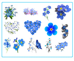 Forget Me Not Flower  Temporary Tattoos