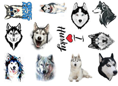 Pug  Temporary Tattoos