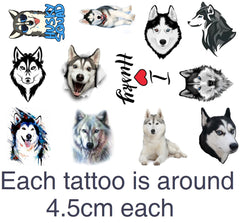 Husky Dog Temporary Tattoos