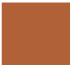 Multiple sclerosis (MS)  Vinyl Stickers ( Multiple colours to choose from )
