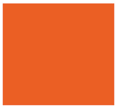 Multiple sclerosis (MS)  Vinyl Stickers ( Multiple colours to choose from )
