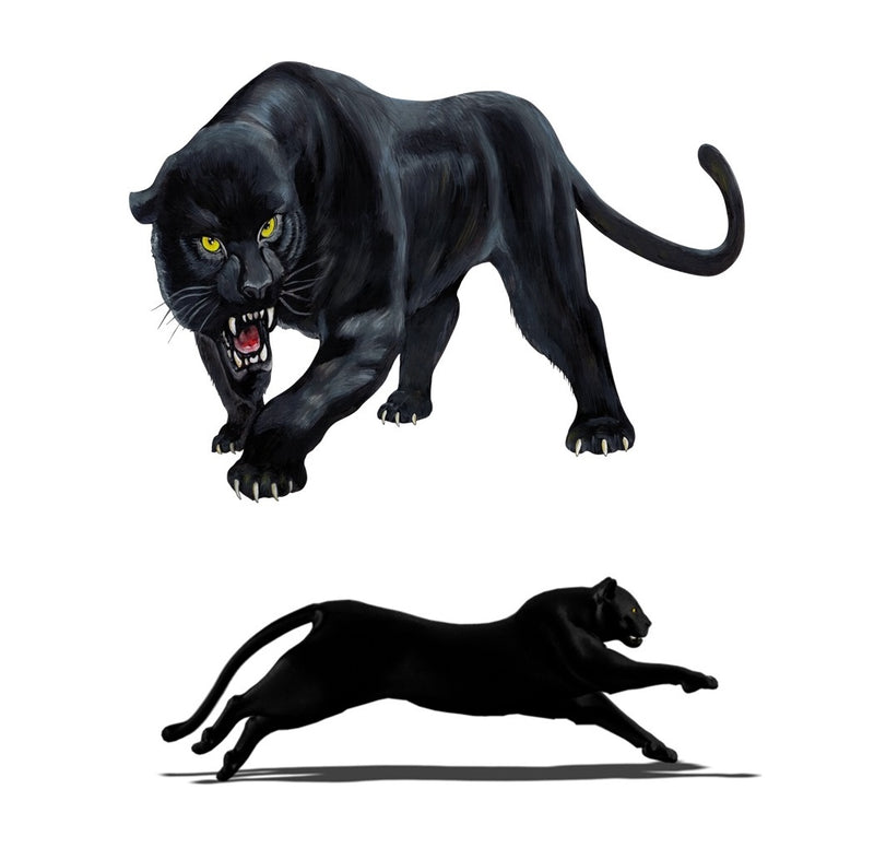 Panther Iron On Transfer