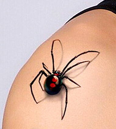 3D  Spider Temporary Tattoos