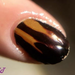 Tortoise shell Nail Art