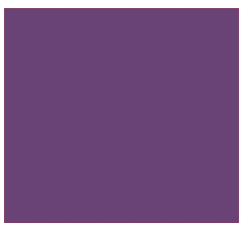 Premature Baby Vinyl Stickers ( Multiple colours to choose from )