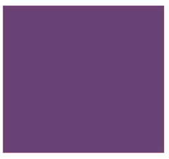 Premature Baby Vinyl Stickers ( Multiple colours to choose from )