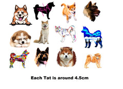 Akita Dog Temporary Tattoos
