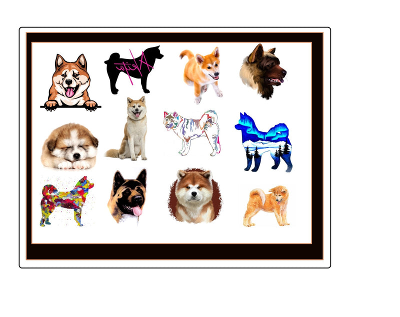Akita Dog Temporary Tattoos