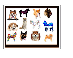 Akita Dog Temporary Tattoos