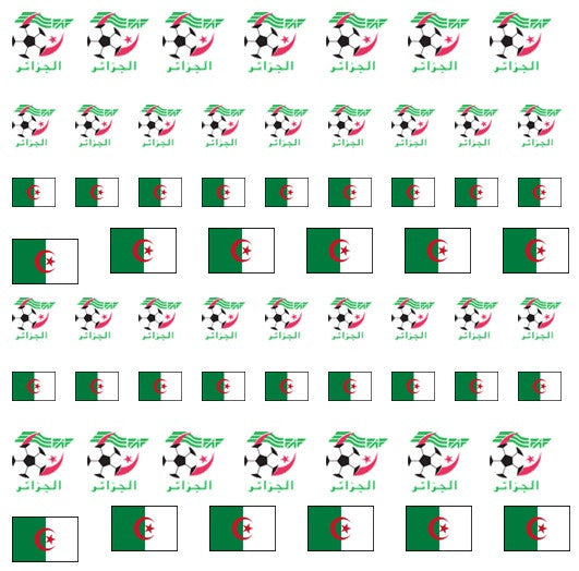 Algeria  Nail Art Decal