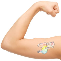 Alpaca Temporary Tattoos
