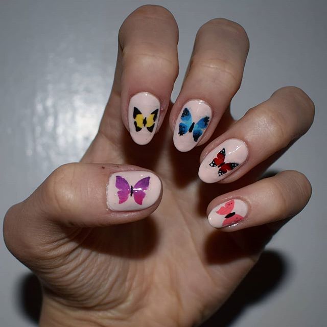 44 Nail Stencils  - Bird Butterfly Wasp