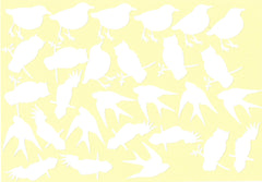 Birds Vinyl Stickers ( Multiple colours to choose from )