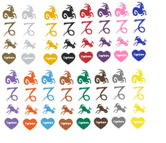 Capricorn Zodiac Vinyl Stickers ( Multiple colours to choose from )