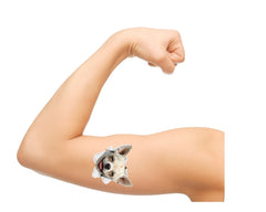 Chihuahua   Temporary Tattoos