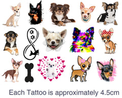 Chihuahua   Temporary Tattoos