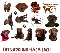 German Shepherd Alsatian  Temporary Tattoos