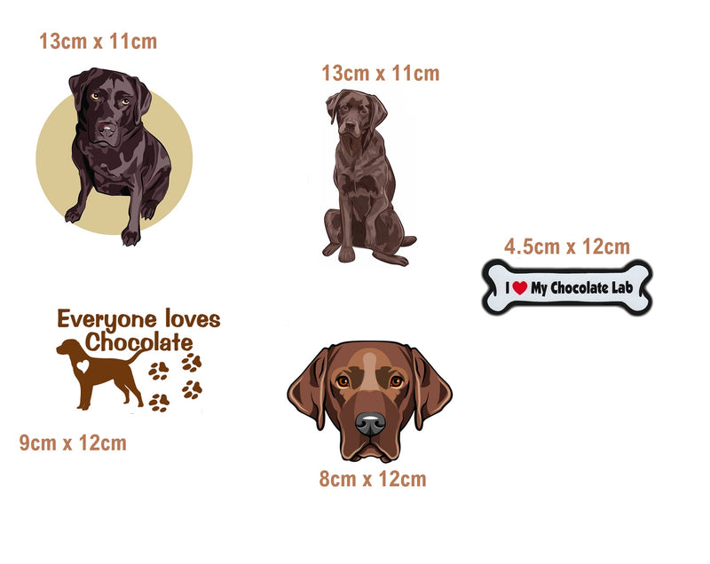 Chocolate Labrador Dog Iron On Transfers