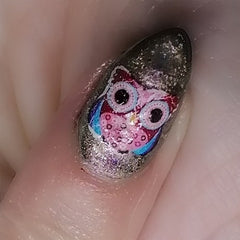 Colourful Owl Nail Art