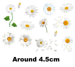 Daisy c1  Temporary Tattoos