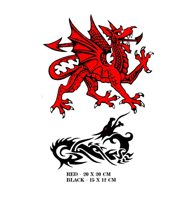 Dragon  Iron On Transfers