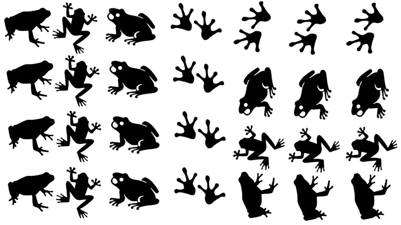 Frog Vinyl Stickers ( Multiple colours to choose from )