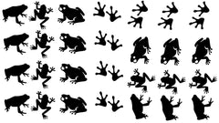 Frog Vinyl Stickers ( Multiple colours to choose from )