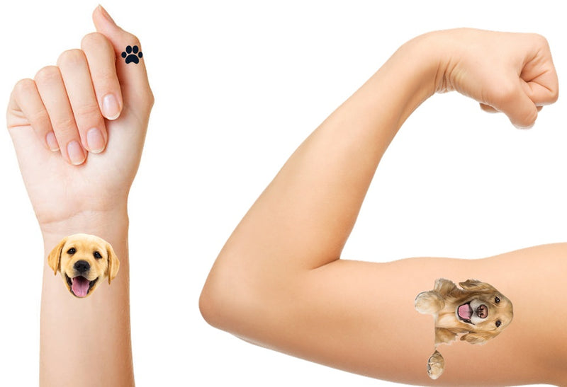 Golden Retriever Temporary Tattoos Dog