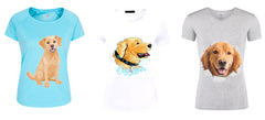 Golden Labrador Retriever  Iron On Transfers
