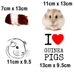 Guinea Pig Iron On Transfers