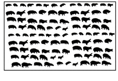 Hippo Nail Stickers