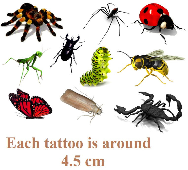 Scorpion Temporary Tattoos