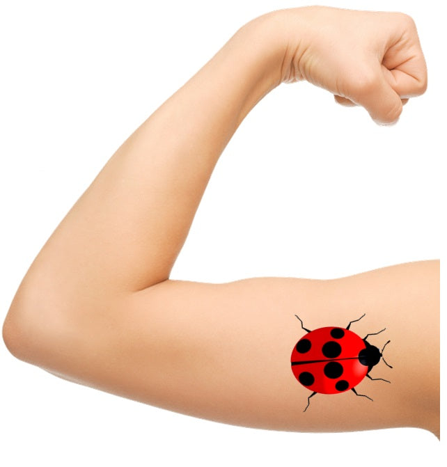 Ladybird Temporary Tattoos c2