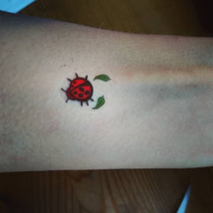 Ladybird Temporary Tattoos c2