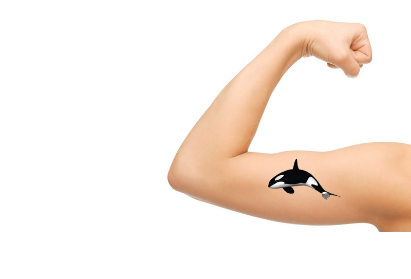 Orca Killer Whale  Temporary Tattoos