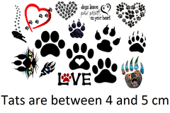 Pug  Temporary Tattoos