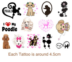 Poodle Dog Temporary Tattoos