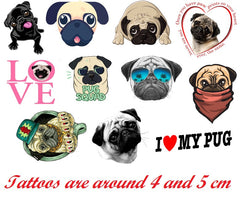 Pug  Temporary Tattoos