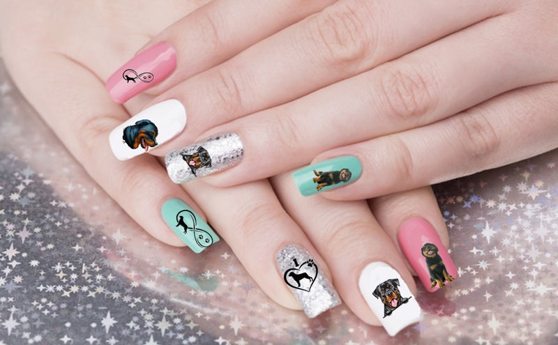 Rottweiler Dog  Nail Art Decals