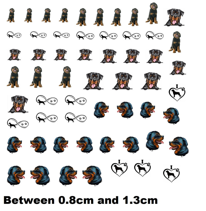Rottweiler Dog  Nail Art Decals