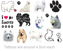 Samoyed Dog  Temporary Tattoos