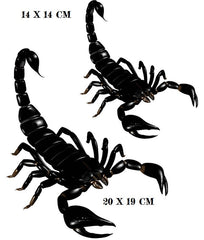 Scorpion Iron On Transfer