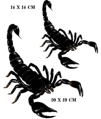 Scorpion Iron On Transfer