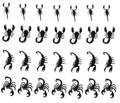 Raven  Vinyl Stickers ( Multiple colours to choose from )