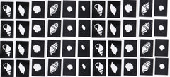Nail Stencils  - Sea Shells