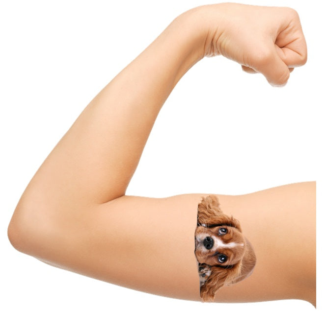 Spaniel Dog  Temporary Tattoos